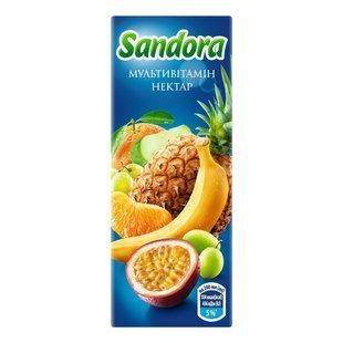 Нектар Мультивітамін Sandora, 0.2 л 4080490 фото