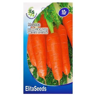 Морковь Шантоне Elita Seeds, 10г 4191130 фото