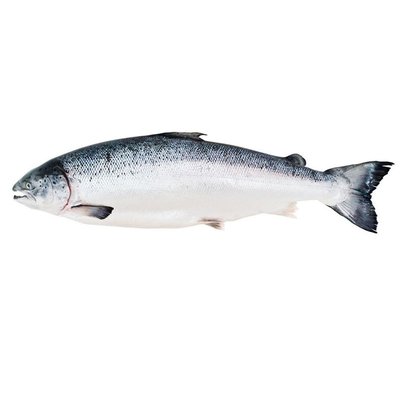 Риба охолоджена Сьомга 5-6 кг, 100 г 2651390 фото