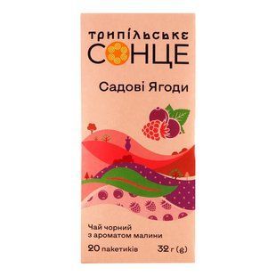 Чай пакетированный черный Садовые ягоды Трипильское солнце, 20 шт/уп. 3851900 фото